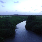 Vasai, India, Maharashtra, stream ,nature, uasatish,