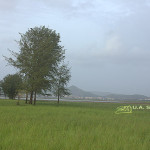 uasatish, India, Vasai, nature, landscape,